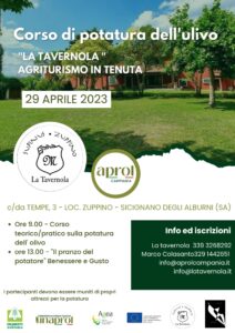 Corso di potatura dell'ulivo-cilentohomecom